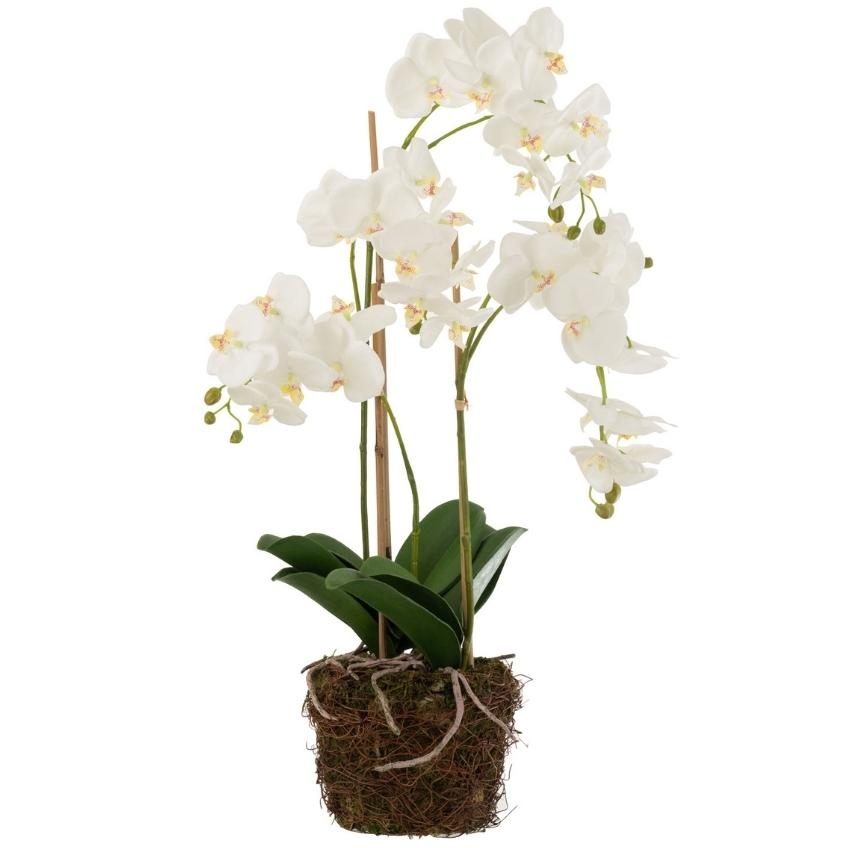 Umělá květina J-Line Maryath Orchid